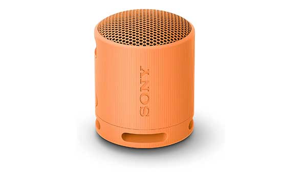 Sony SRS-XB100