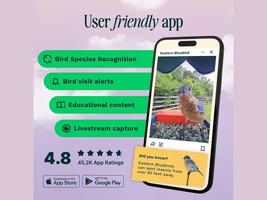 Bird Buddy Pro 