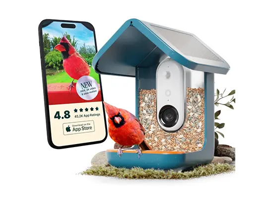 Bird Buddy Pro