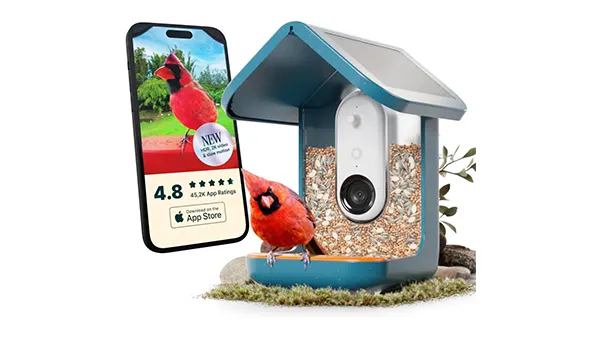 Bird Buddy Pro