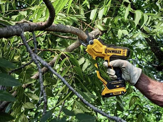 Reseña DEWALT 20V MAX Tijeras de podar: Cortes suaves y rápidos DEWALT 20V MAX Tijeras de podar