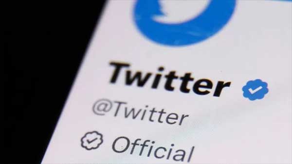 Twiter verificación