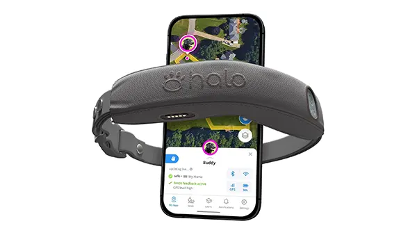 Halo Collar 4: Valla GPS para perros y entrenamiento avanzado Halo Collar 4