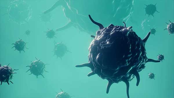 Nuevo virus en el océano mirusvirus Mirusvirus