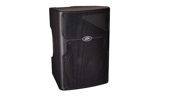 Peavey PVX 15