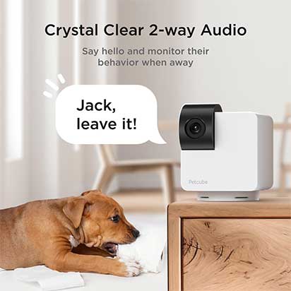 Petcube Cam 360