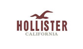 logo de tienda hollister